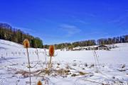 Top Aschau im Chiemgau