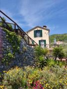 Top Calice Ligure