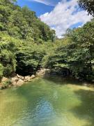 Top San Rafael Top San Rafael