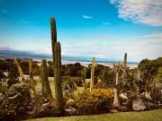 Top Plettenberg Bay