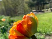 Top Borzestowo Top Borzestowo