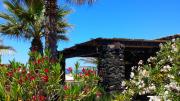 Top Pantelleria