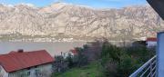 Top Kotor