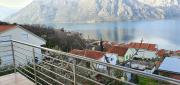 Top Kotor