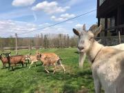 Top Beroun Top Beroun