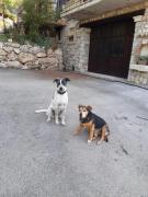 Top Castelvecchio Calvisio