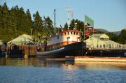 Top Port Alberni