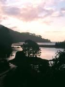 Top Toltén Top Toltén