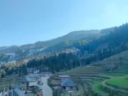Top Mandi