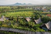 Top Canggu