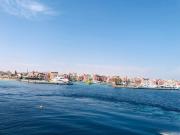 Red Sea Tiba plaza Apartment