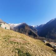 Top Premana Top Premana