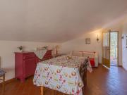 Top Certaldo Top Certaldo