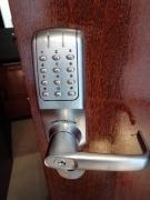 Shearwaters - Sounds of the sea