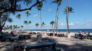 Top Cape Coral