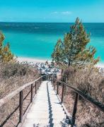 Lo Speziale - Ginepro Lo Speziale - Ginepro