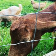 Bramble Cottage on the edge of Exmoor