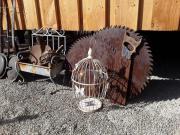 Top Munster im Heidekreis