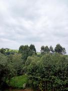 Top Kericho