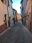 Top Castelfidardo