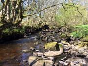 Top Haltwhistle Top Haltwhistle