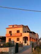 Top Licata Top Licata