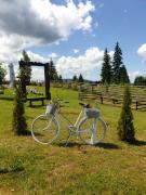 Top Vatra Dornei Top Vatra Dornei