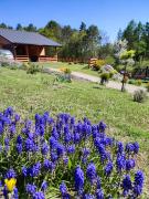 Roztocze, Domek Na Leśnym Wzgórzu nr2,Krasnobród,Zamość, Zwierzyniec, jacuzzi Roztocze, Domek Na Leśnym Wzgórzu nr2,Krasnobród,Zamość, Zwierzyniec, jacuzzi