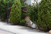 Top Paphos City
