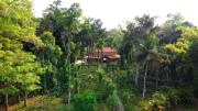 Top Madikeri