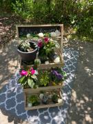 Top Miskolctapolca Top Miskolctapolca