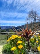 Top Oliveira do Hospital