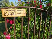 KosMaj Dan Belgrade, Sopot KosMaj Dan Belgrade, Sopot