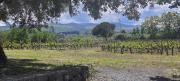 Top Castiglione di Sicilia