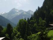 Appartement fonctionnel 4-6 pers avec piscine, TV, lave-vaisselle et balcon à Arêches-Beaufort - FR-1-342-161