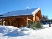 Chalet chaleureux avec sauna, terrain, terrasse et babyfoot à Saint-Nabord - FR-1-589-255