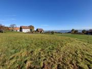 Top Langnau am Albis