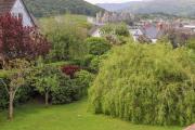 Summerfield Summerfield