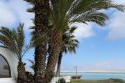 Top Paracas