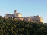 Top Assisi