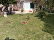 Top Marina di Camerota