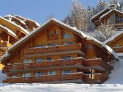 Appartement 3 pièces pour 6 personnes avec balcon et WiFi à Méribel - FR-1-411-225