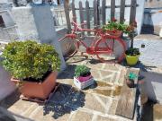 Top Ostuni