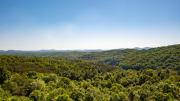 Top Blue Ridge