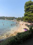 Top Mlini