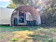 Les Insolites du Brochet