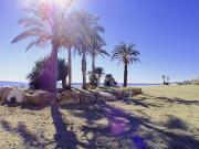 Top Los Amarguillos Top Los Amarguillos