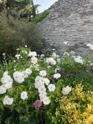 La Borie en Provence