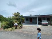 Top Arau