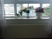 Apartamento TEO